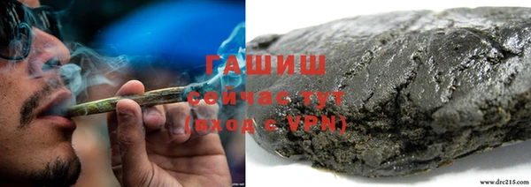 герыч Алексин