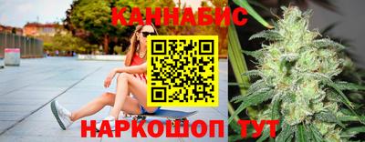сатива Гатчина