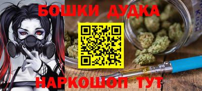 сатива Гатчина