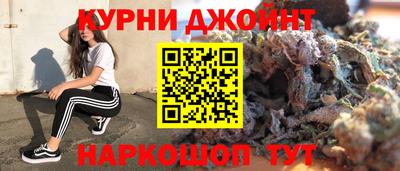 мяу мяу мука Гай
