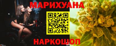 стафф Кингисепп