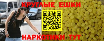 мяу мяу мука Гай