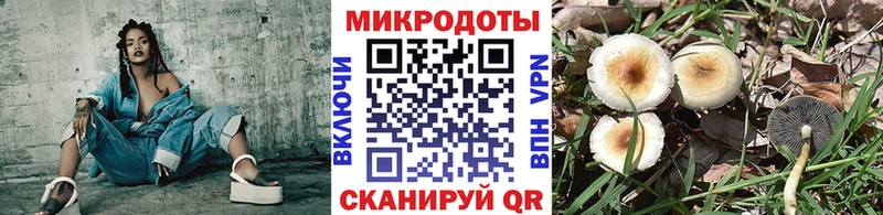 нарко площадка состав Красногорск Галлюциногенные грибы Magic Shrooms