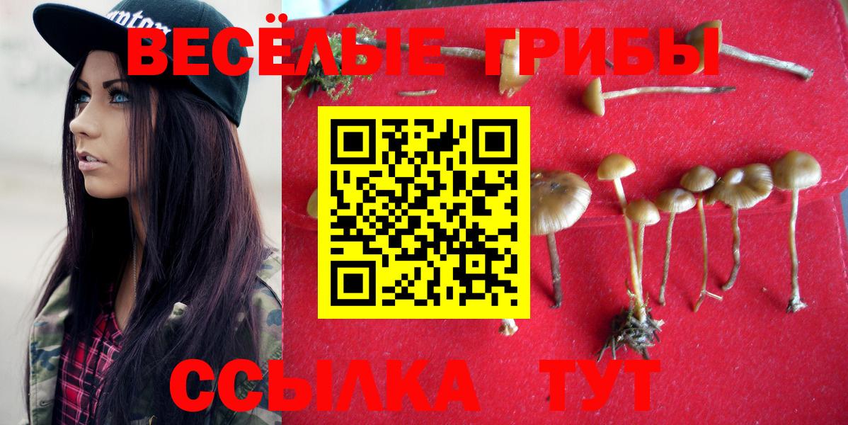Галлюциногенные грибы Cubensis  Вход с VPN  Красногорск 